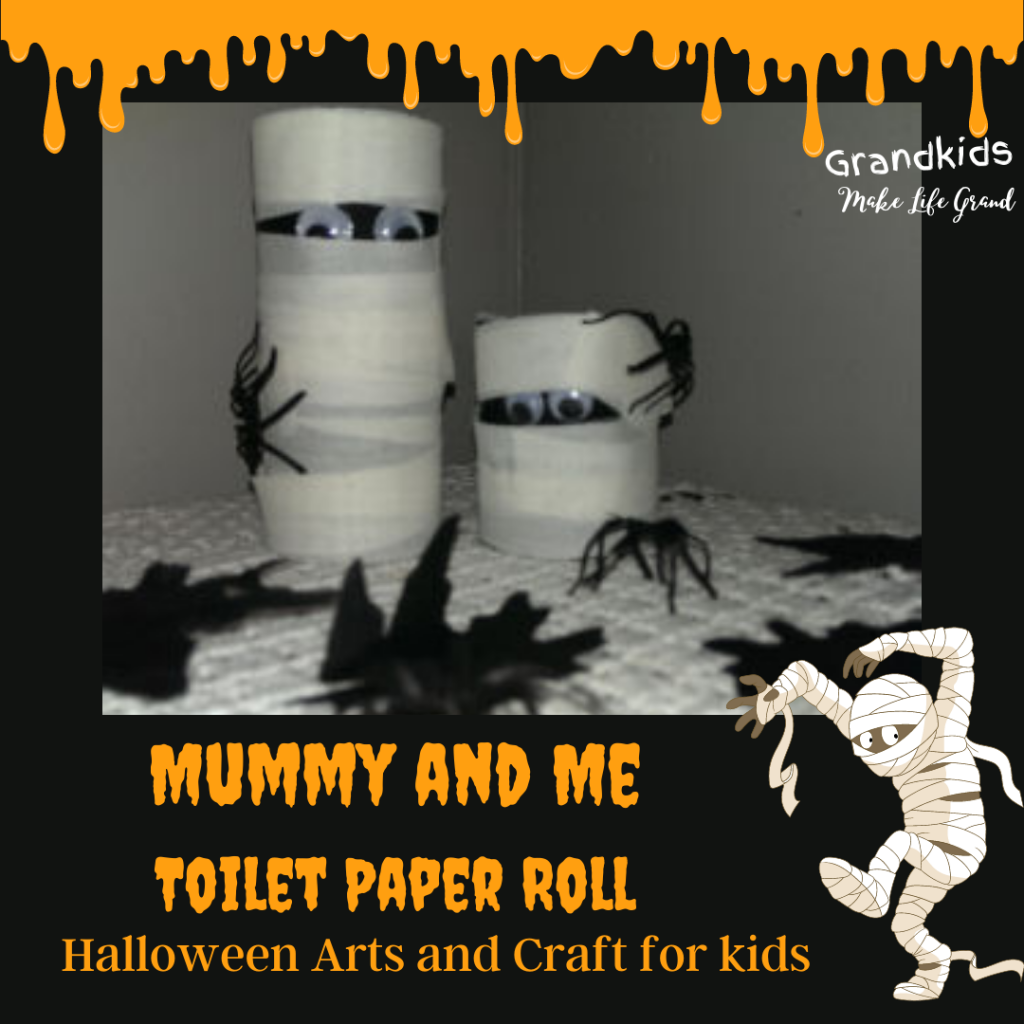 mummy craft made out of toilet paper rolls with spiders around mummy's