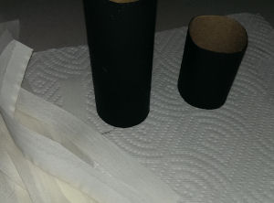 Toilet paper rolls that have been painted black