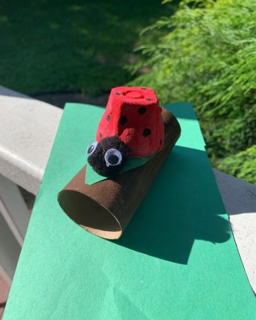 toilet paper roll and egg carton made into a lady bug on a log
